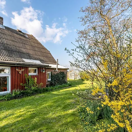 Busch Semesterbostad *