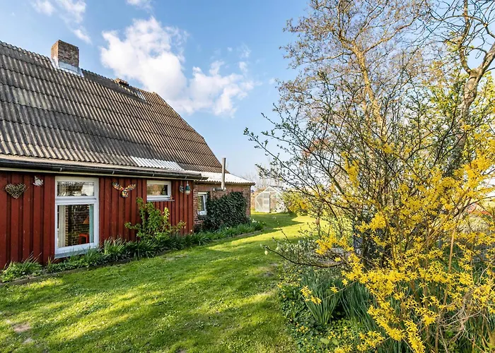 Busch Casa de Férias *